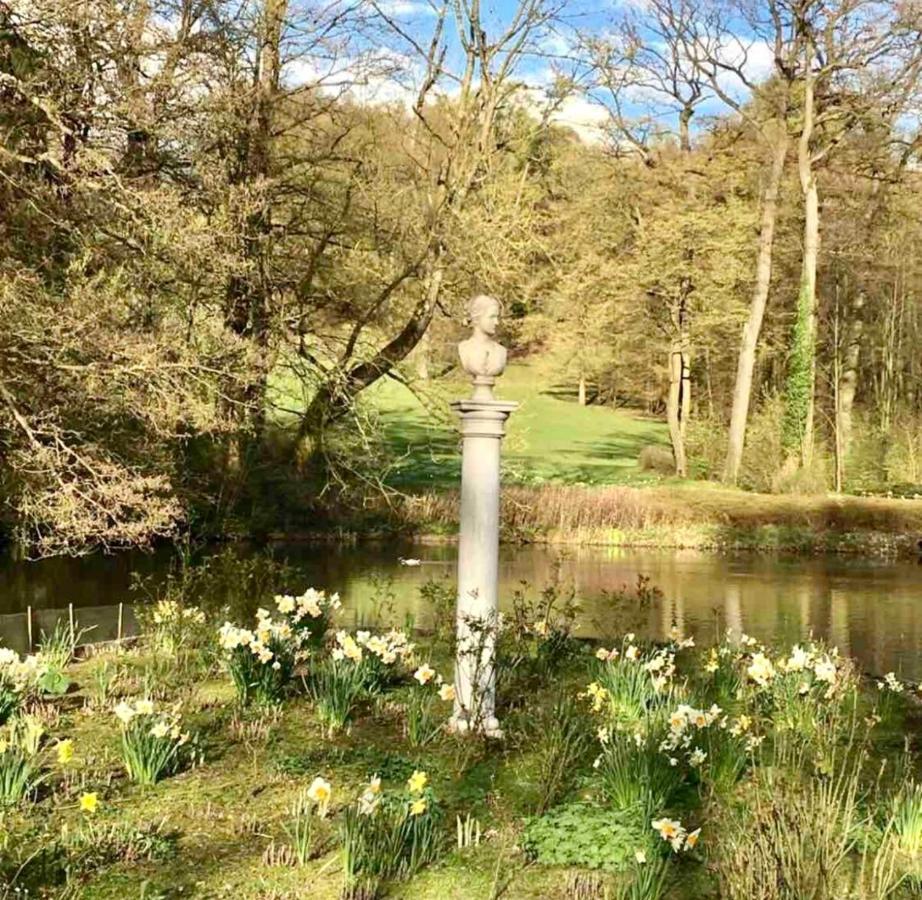 Exklusives Wohnen Am Stadtpark Bad Driburg Εξωτερικό φωτογραφία
